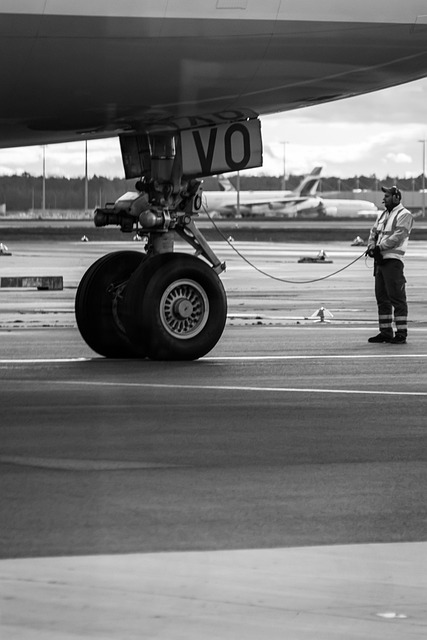 Avia Hakkında - Modelleri, Fiyatları ve Tüm Bilgiler