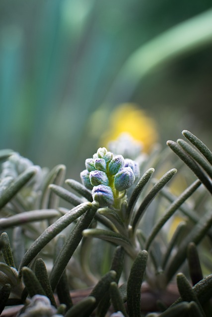 Sinotruk Hakkında - Modelleri, Fiyatları ve Tüm Bilgiler